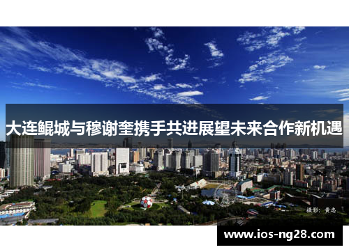大连鲲城与穆谢奎携手共进展望未来合作新机遇